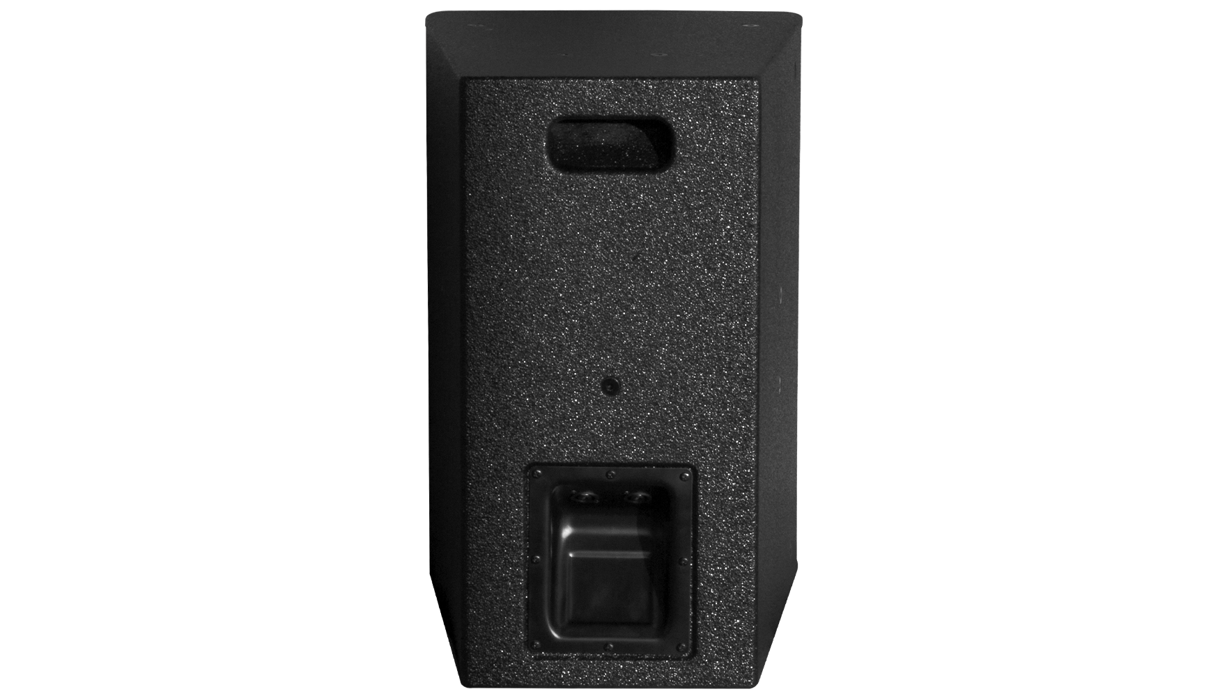 Loa Đa Hướng P15 Dare Audio Passive - Bass 15 inch - 2000W - Ảnh 2